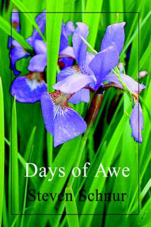 Days of Awe de Steven Schnur