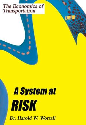 A System at Risk de Harold W. Worrall