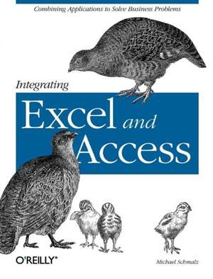 Integrating Excel and Access de Michael Schmalz