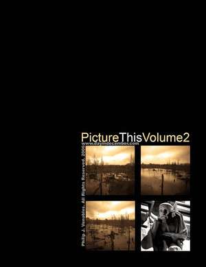 Picture This Volume 2 de Philip Venables