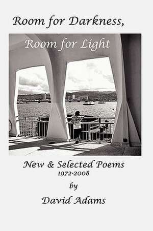 Room for Darkness, Room for Light de David Adams