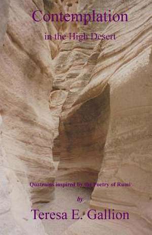 Contemplation in the High Desert: Quatrains Inspired by the Poetry of Rumi de Teresa E. Gallion