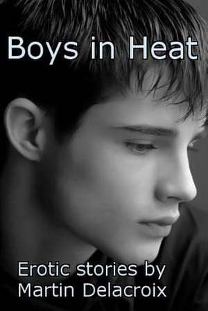 Boys in Heat de Martin Delacroix