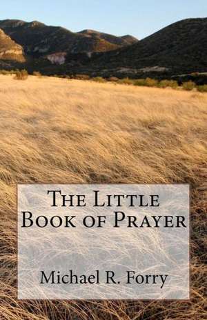 The Little Book of Prayer: A Dave Haggard Thriller de MR Michael R. Forry