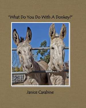 What Do You Do with a Donkey? de Janice Carabine