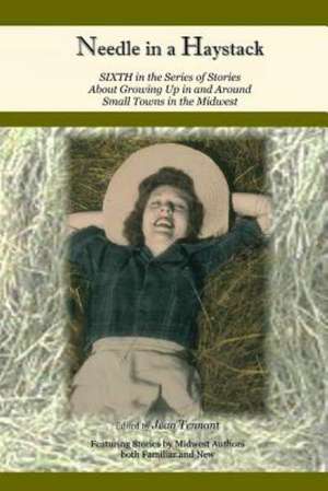 Needle in a Haystack: Sixth in the Series of Stories about Life ... de Jean Tennant