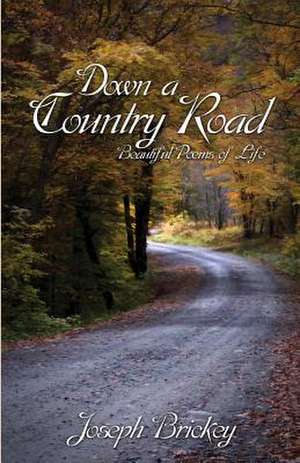 Down a Country Road de Brickey Joseph