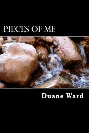 Pieces of Me de Duane M. Ward