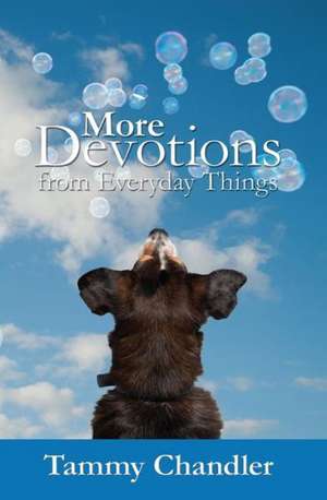 More Devotions from Everyday Things: What You Wish You Would Have Learned in High School de Tammy Chandler