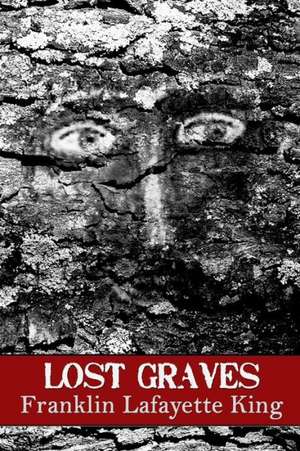 Lost Graves: Collected Poems 1987-2013 de Franklin Lafayette King