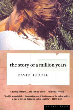 The Story Of A Million Years de David Huddle