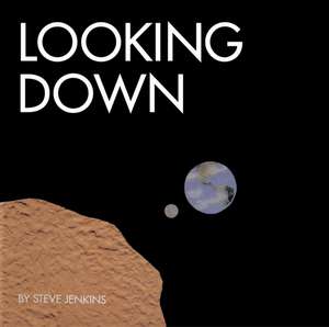 Looking Down de Steve Jenkins