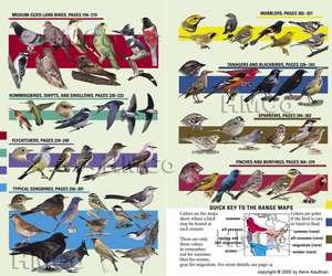 Kaufman Field Guide To Birds Of North America de Kenn Kaufman