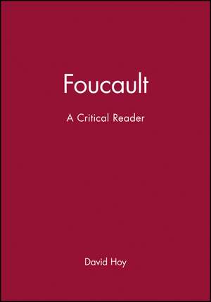 Foucault de David Hoy