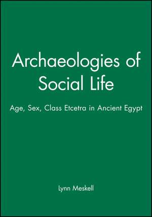 Archaeologies of Social Life – Age, Sex, Class et cetra in Ancient Egypt de L Meskell