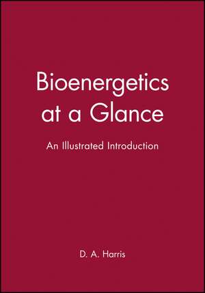 Bioenergetics at a Glance – An Illustrated Introduction de DA Harris