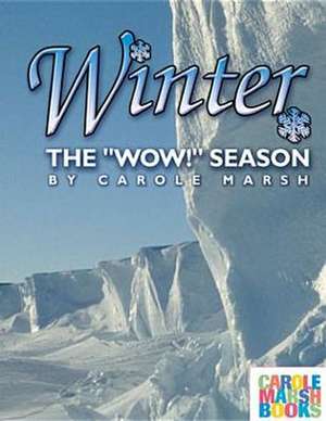 Winter: The "Wow!" Season de Marsh