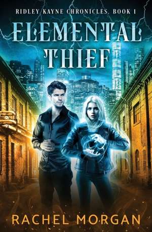 Elemental Thief de Rachel Morgan