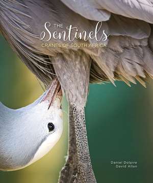 The Sentinels: Cranes of South Africa de Daniel Dolpire