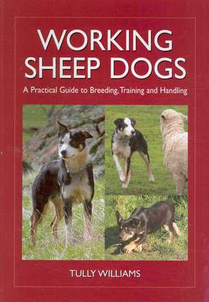 Working Sheep Dogs de Tully Williams