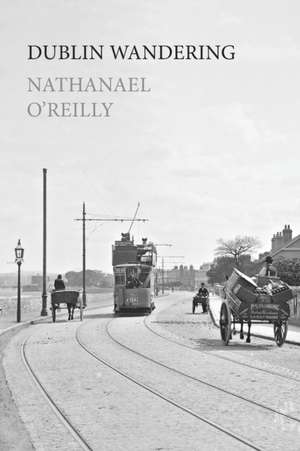 Dublin Wandering de Nathanael O'Reilly