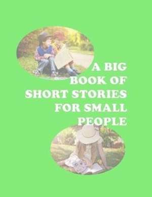 A Big Book Of Short Stories For Small People de Lynn Fowler