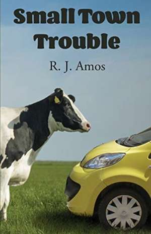 Small Town Trouble de R. J. Amos