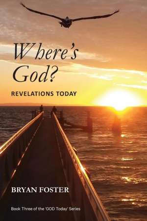 Where's God? Revelations Today de Bryan W Foster