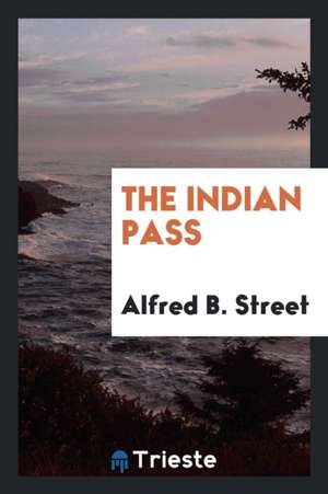The Indian Pass de Alfred B. Street
