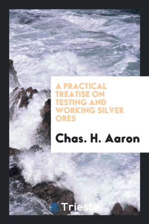 A Practical Treatise on Testing and Working Silver Ores de Chas H. Aaron