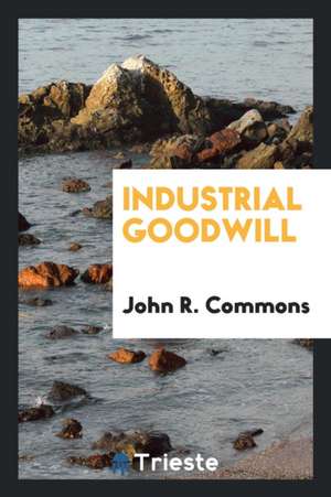 Industrial Goodwill de John R. Commons