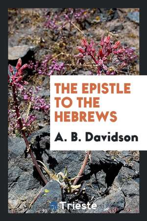 The Epistle to the Hebrews de A. B. Davidson