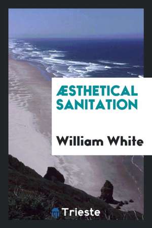 Æsthetical Sanitation de William White