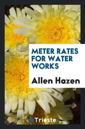 Meter Rates for Water Works de Allen Hazen