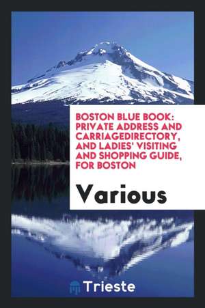 Clark's Boston Blue Book de Various