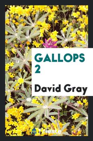 Gallops 2 de David Gray