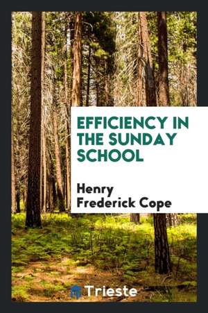 Efficiency in the Sunday School de Henry Frederick Cope