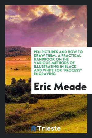 Pen Pictures and How to Draw Them. a Practical Handbook on the Various Methods of Illustrating in Black and White for Process Engraving de Eric Meade