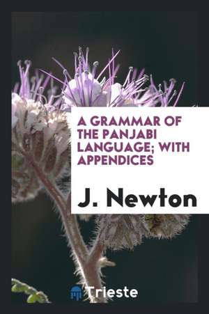 A Grammar of the Panjabi Language with Appendices de J. Newton