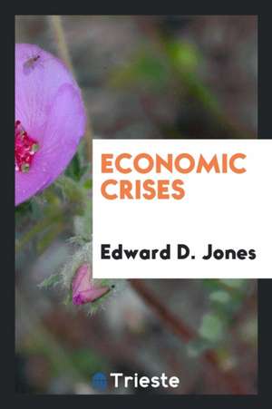 Economic Crises de Edward D. Jones