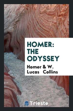 Homer: The Odyssey de Homer