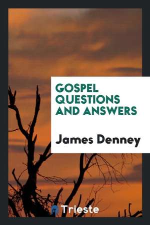 Gospel Questions and Answers de James Denney