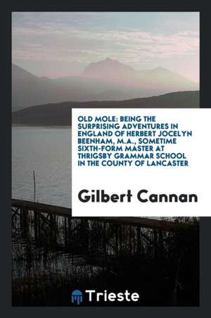 Old Mole: Being the Surprising Adventures in England of Herbert Jocelyn Beenham, M.A., Sometime Sixth-Form Master at Thrigsby Gr de Gilbert Cannan