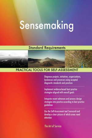 Sensemaking Standard Requirements de Gerardus Blokdyk