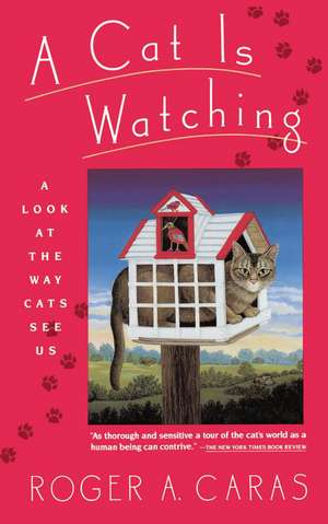 Cat Is Watching: My Six Seasons with Coach Knight de Roger A. Caras