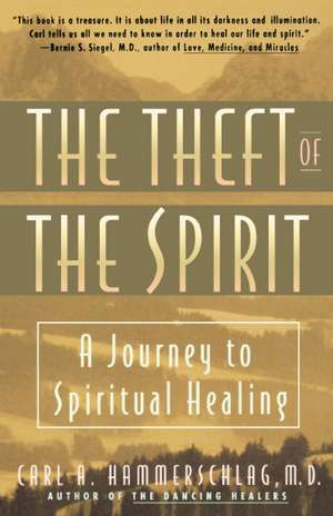 Theft of the Spirit: A Journey to Spiritual Healing de Carl Hammerschlag