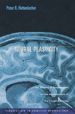 Neural Plasticity – The Effects of Environment on the Development of the Cerebral Cortex de Pr Huttenlocher