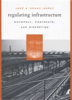 Regulating Infrastructure – Monopoly, Contracts and Discretion de Jose A Gomes–ibanez