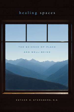 Healing Spaces – The Science of Place and Well–Being de Esther M. Sternberg