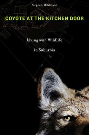 Coyote at the Kitchen Door – Living with Wildlife in Suburbia de Stephen DeStefano